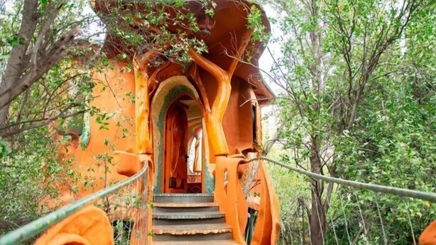 Ein Baumhaus mit einer Treppe, die zu einem Eingang führt, umgeben von Grün.