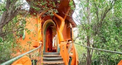 Casa Bosque Lodge