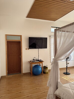 A room with a wooden door, a television mounted on the wall, a blue exercise ball, a fan, and a bed with a white canopy.
