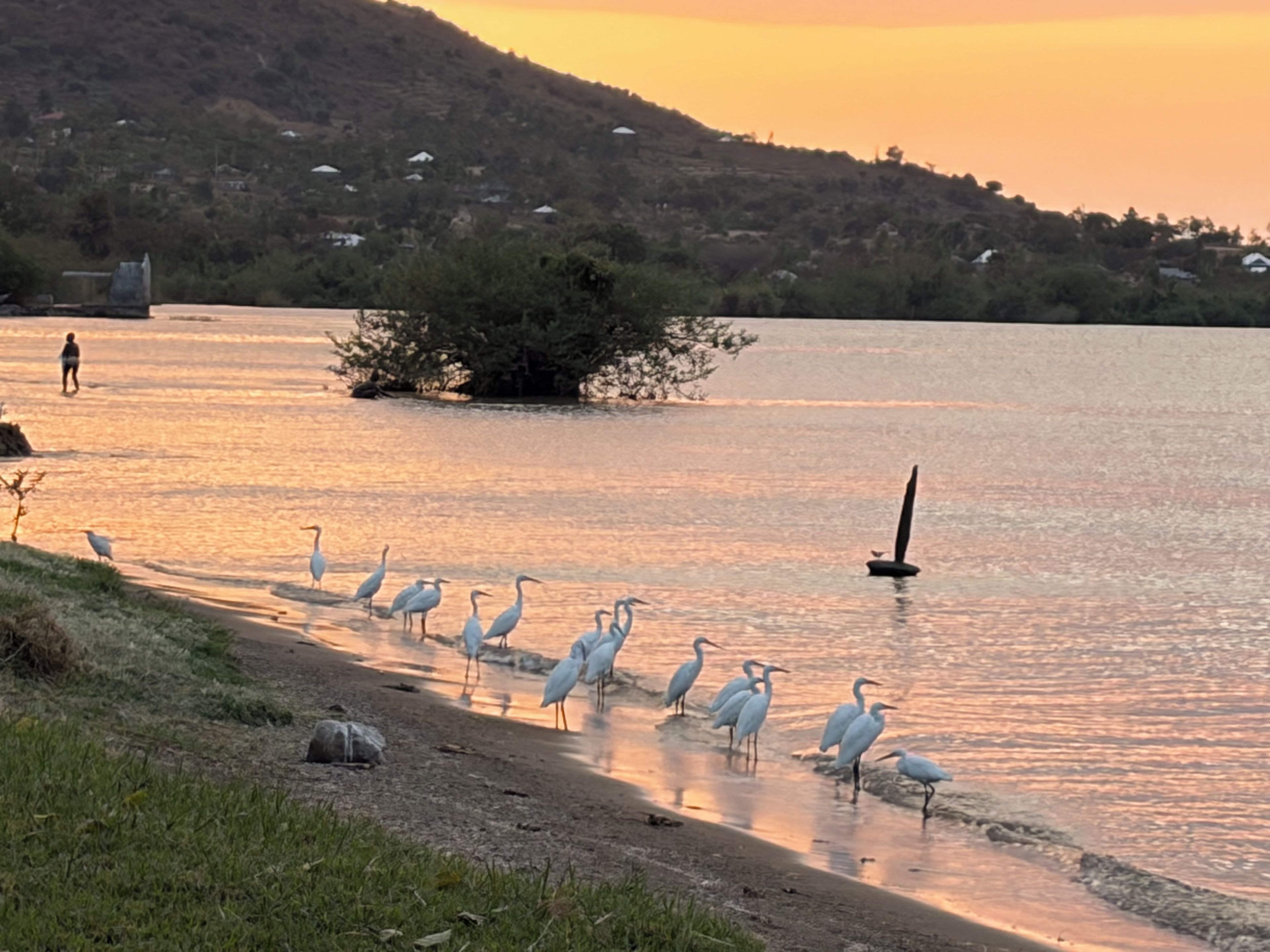 Un lago tranquilo con aves cerca de la orilla, rodeado de colinas y vegetación escasa.