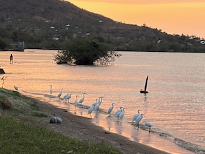 Un lago tranquilo con aves cerca de la orilla, rodeado de colinas y vegetación escasa.