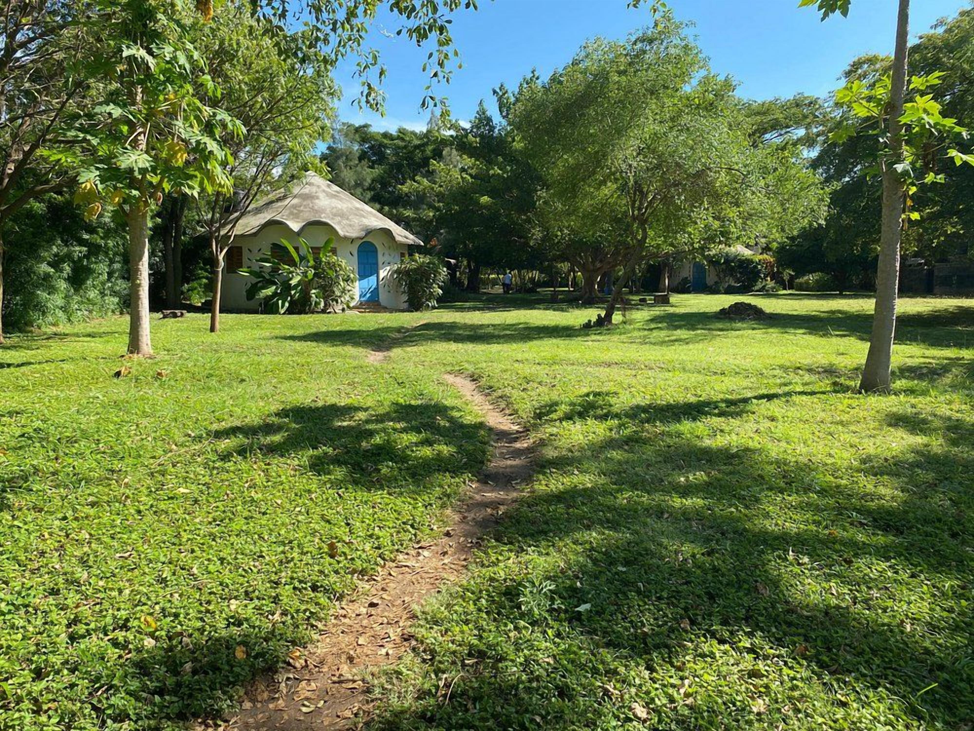 A grassy area with a path leading to a building with a blue door, surrounded by trees.