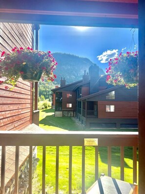 View from room - Frisco Hotspot - Hot Tub & More, Sleeps 4 (Frisco)