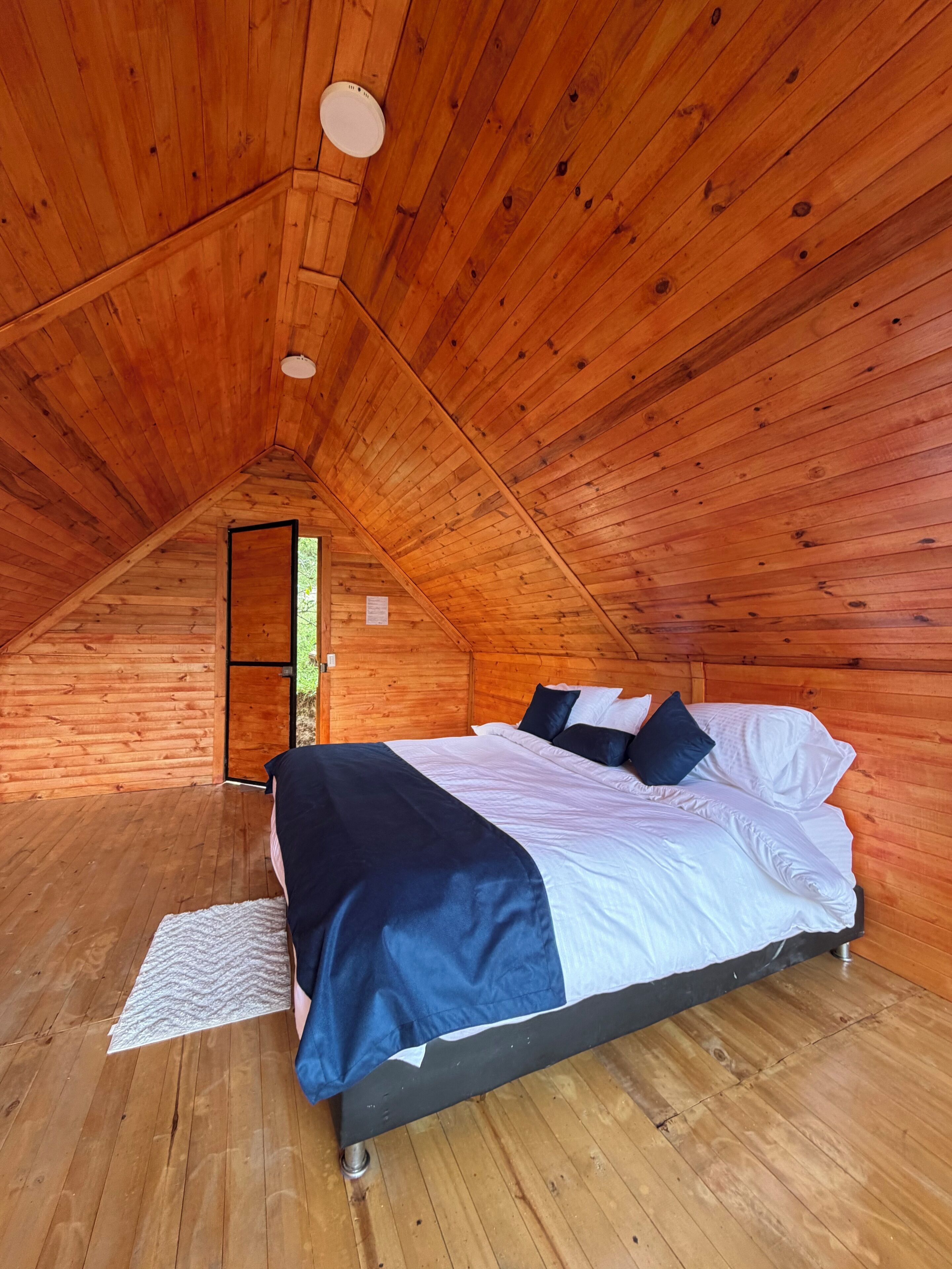 A wooden interior with a bed, a door, and a small window.