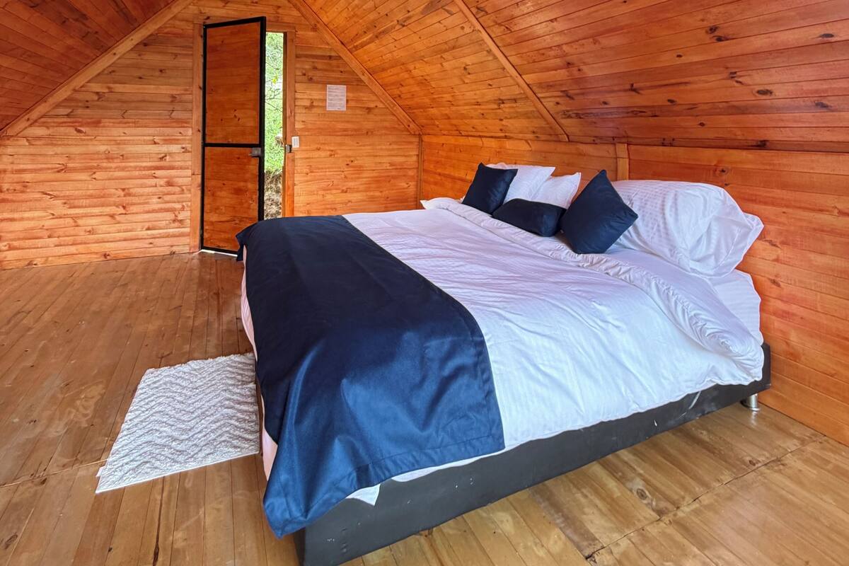 A wooden interior with a bed, a door, and a small window.