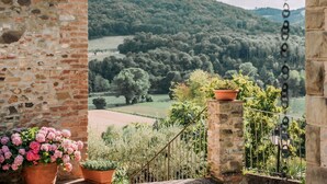 A stone wall, a potted plant, and a view of a forested hillside. - Villa Il Gufo - Seven Bedroom Villa, Sleeps 20 (Anghiari)