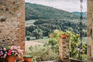 A stone wall, a potted plant, and a view of a forested hillside. - Villa Il Gufo - Seven Bedroom Villa, Sleeps 20 (Anghiari)