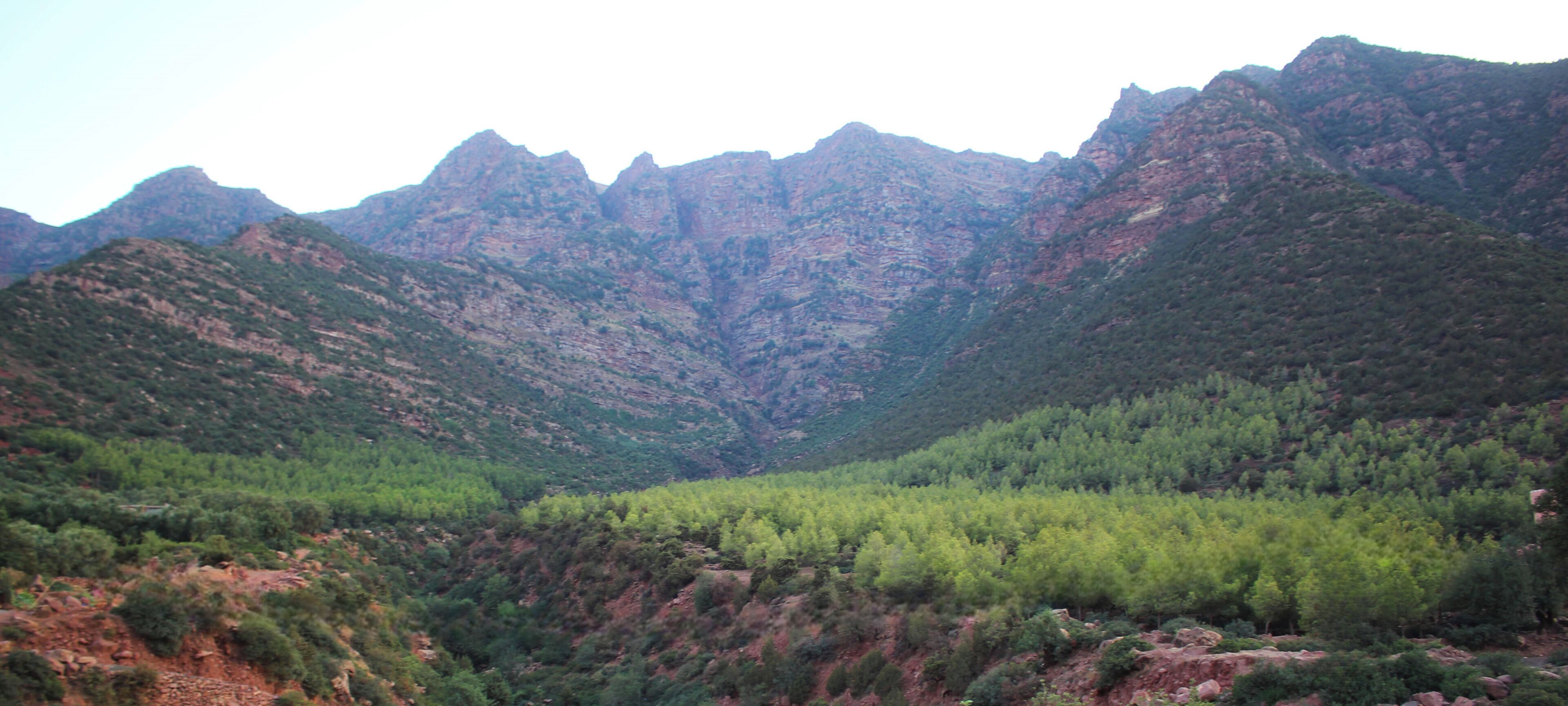 Vista al paisaje
