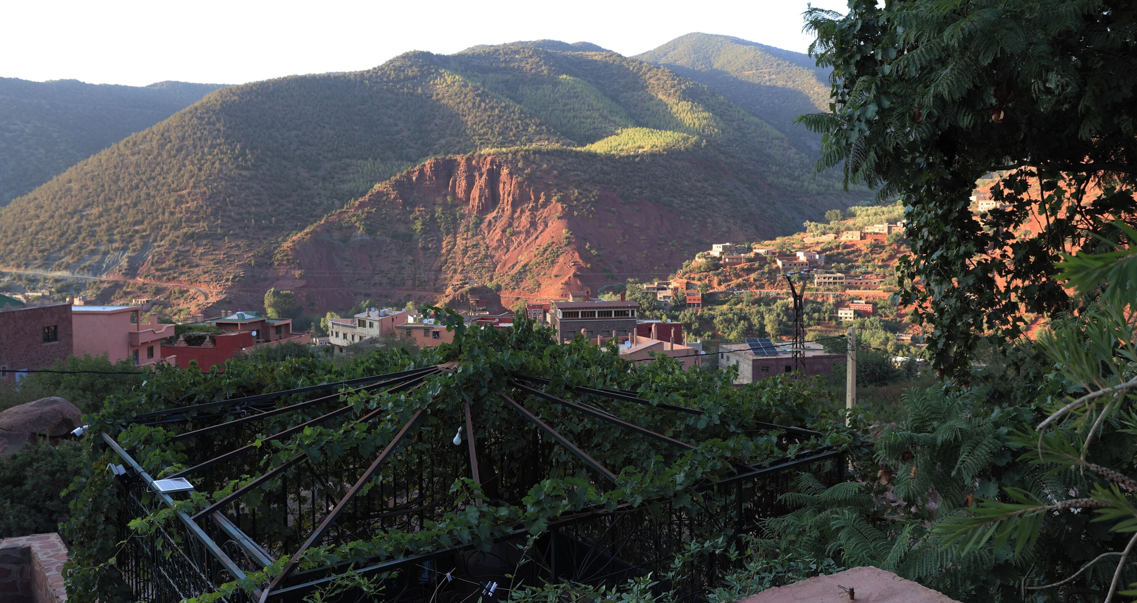 A hillside village with buildings, a mountain, and dense vegetation.