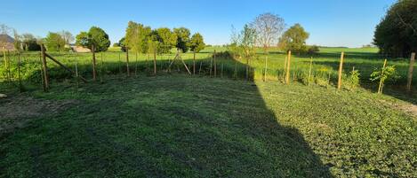 A fenced outdoor area with grass and trees.