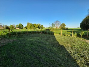 A fenced outdoor area with grass and trees. - La P'tite Pierre (Ineuil)