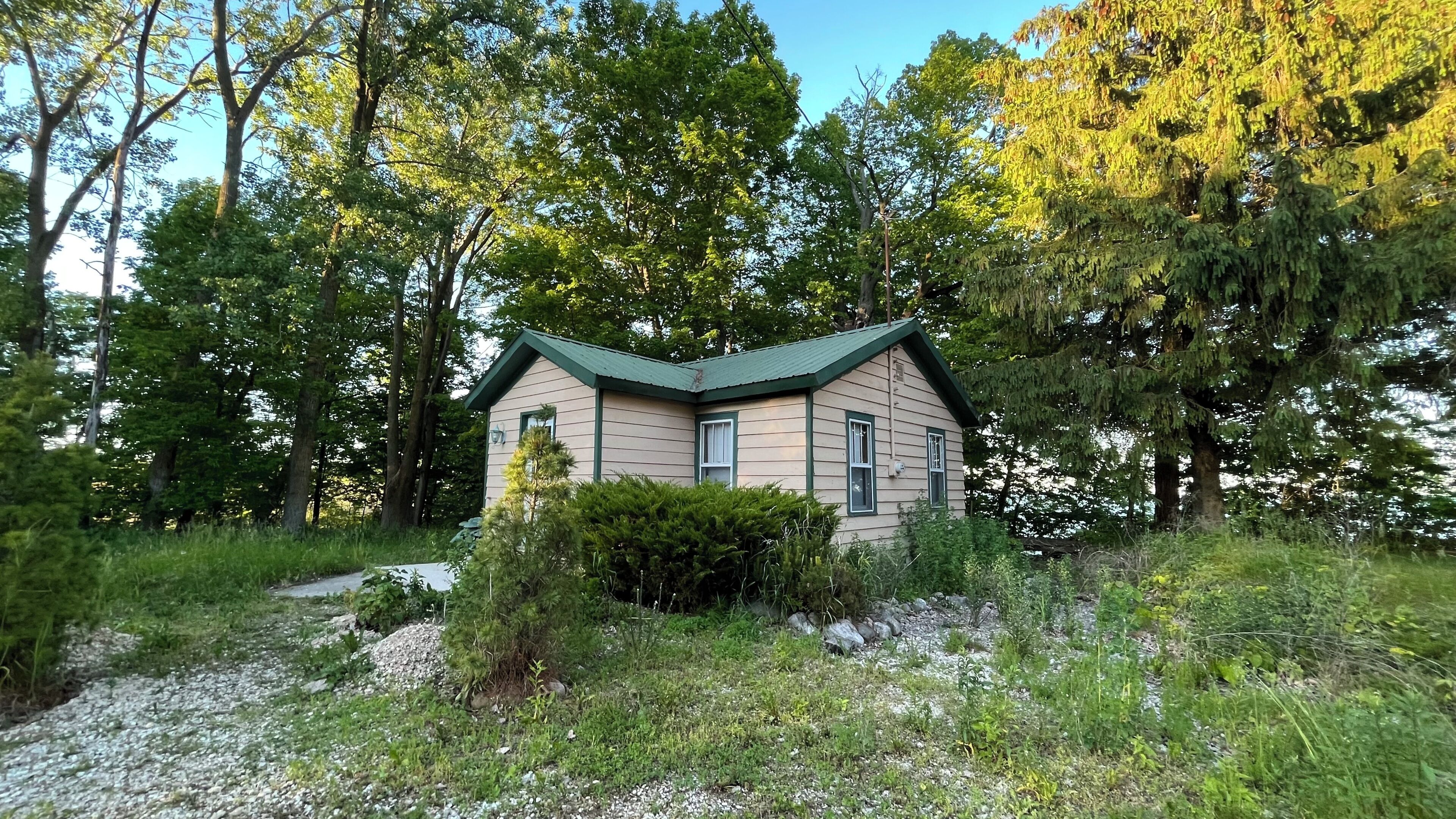 Una piccola casa a un piano con tetto verde, circondata da alberi fitti e vegetazione rigogliosa.