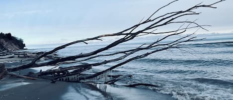 海灘