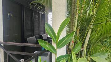 Executive Room, Garden View | Terrace/patio