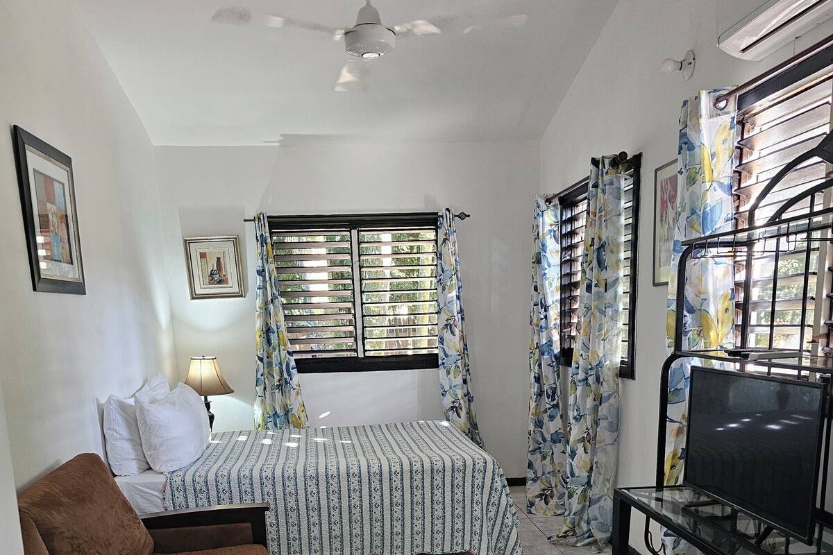 A room with a bed, a sofa, a TV stand, a ceiling fan, and a window with curtains.