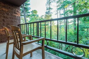 Property grounds - Chula Vista Resort 3-bedroom condo with Free Waterpark! Pet Friendly! (Wisconsin Dells)