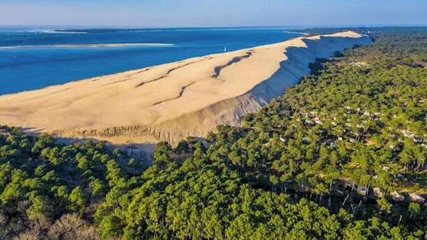 Vista aérea de una zona costera con dunas de arena, un bosque denso y un cielo azul despejado.
