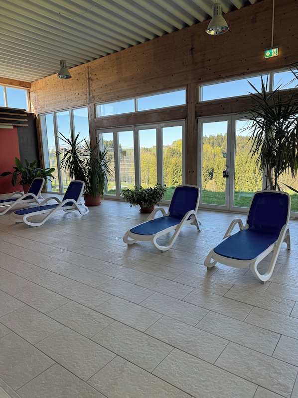 A sunlit indoor area with large windows, lounge chairs, and potted plants.