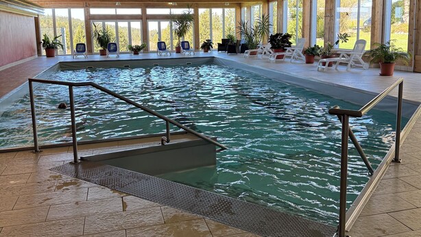 Una piscina interior con techo de madera, plantas en macetas y vista a árboles desde el exterior.
