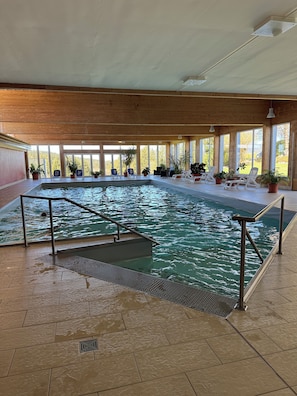 An indoor swimming pool with a wooden ceiling, potted plants, and a view of trees outside.