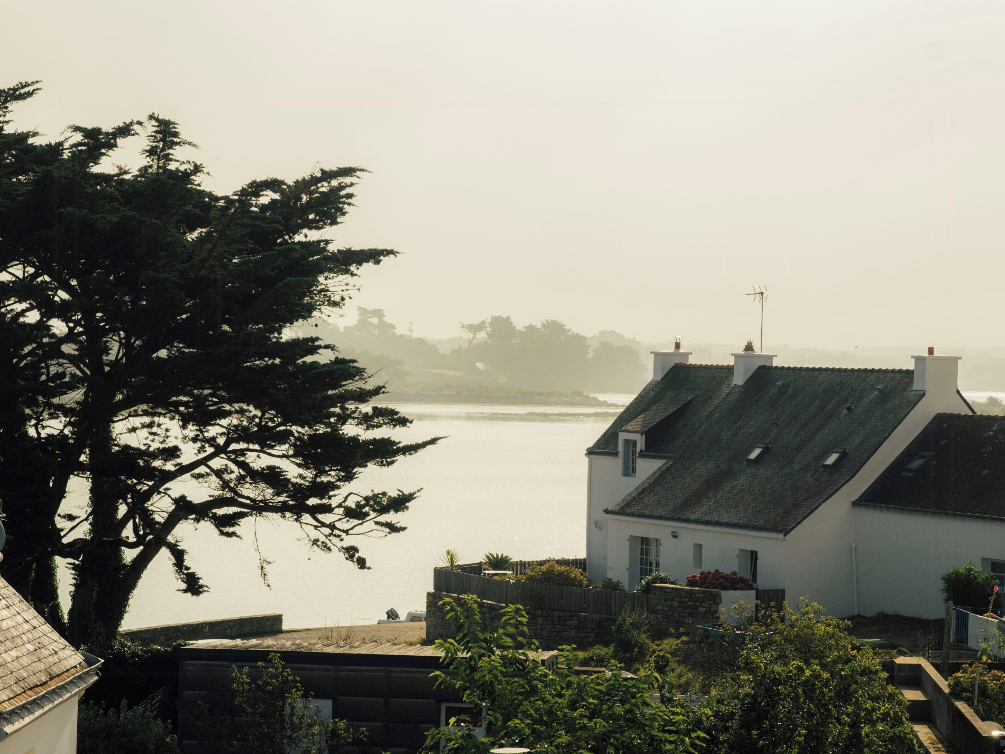 Un quartier résidentiel situé sur la côte, avec des maisons, un arbre et une vue sur la mer.