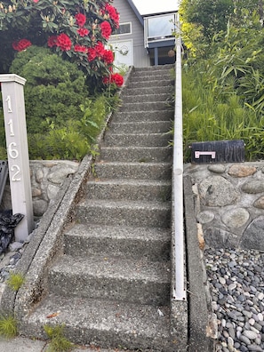 A set of stone steps leading to a house, with a mailbox and a number sign on the left.
