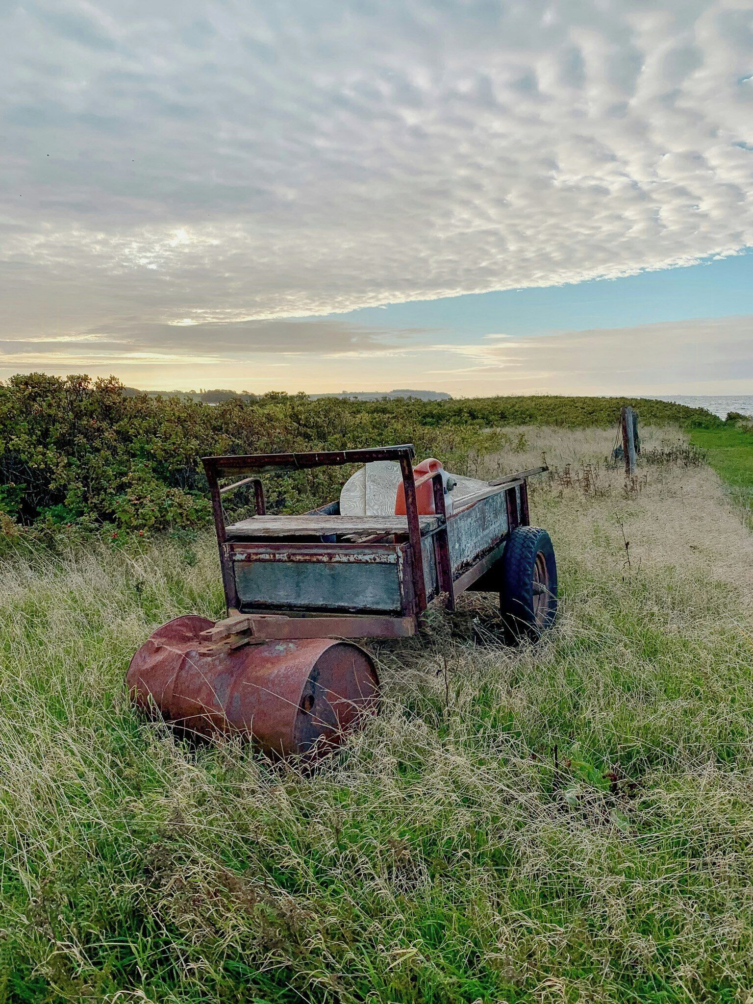 Une vieille machine rouillée, abandonnée dans un champ herbeux, avec un ciel nuageux en arrière-plan.