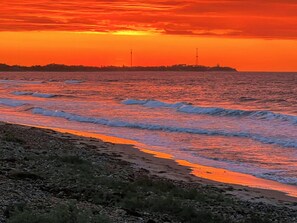 Beach - Pure charm and idyll near Kattegat (Sjællands Odde)