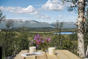 Outdoor dining - Traditional log cabin at Vierli (Rauland)