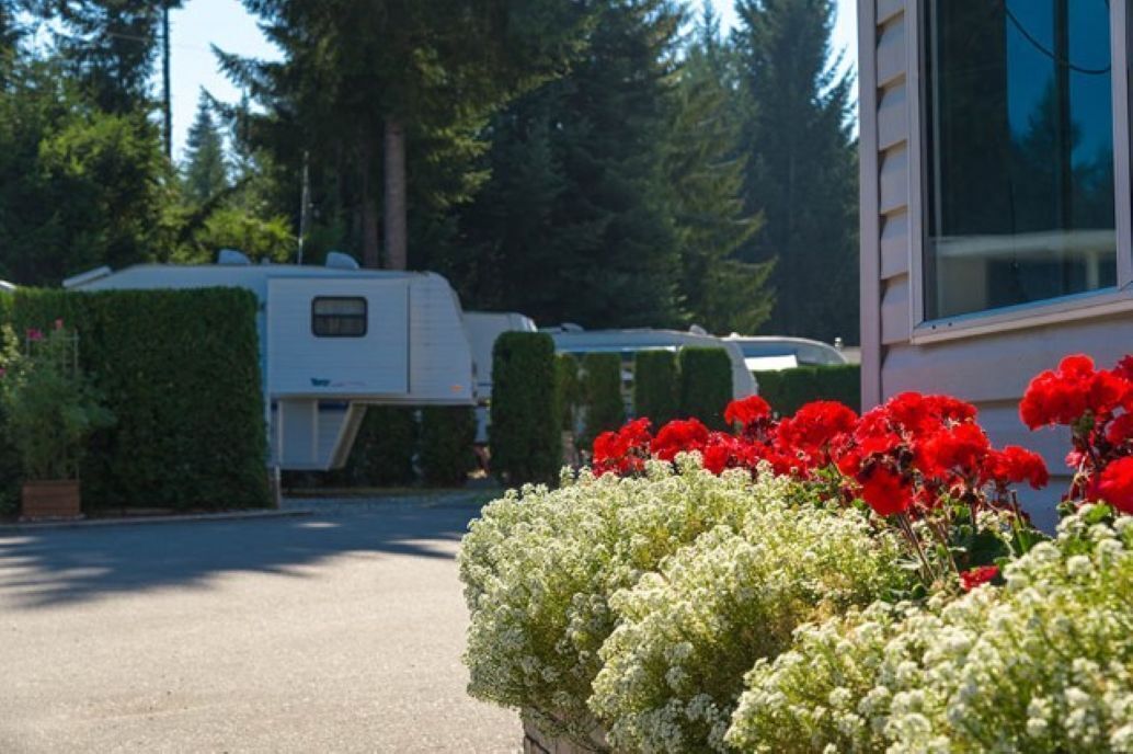 Un barrio residencial con una caravana blanca estacionada en la entrada, rodeado de setos bien cuidados y plantas con flores.