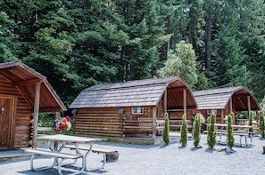 A row of log cabins with picnic tables in front, surrounded by dense forest.