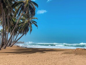 A beach with palm trees and ocean waves. - Oceanfront Rustic Family Home Fully Equipped for 8 (Camuy)