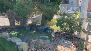 Un giardino con panchine in pietra, un albero e una recinzione.