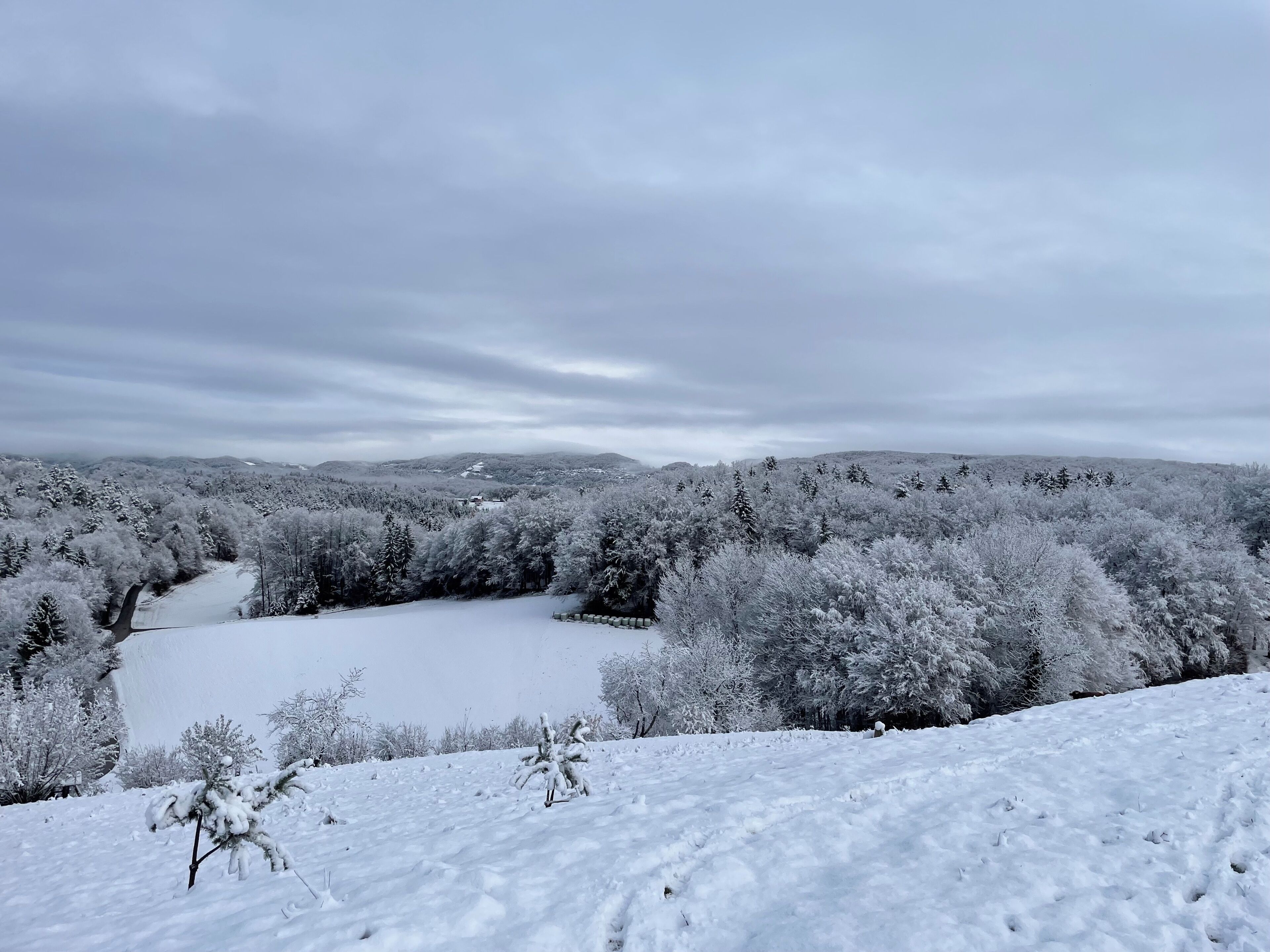 A snowy landscape with a river, trees, and a distant view of hills.
