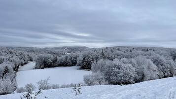 A snowy landscape with a river, trees, and a distant view of hills.