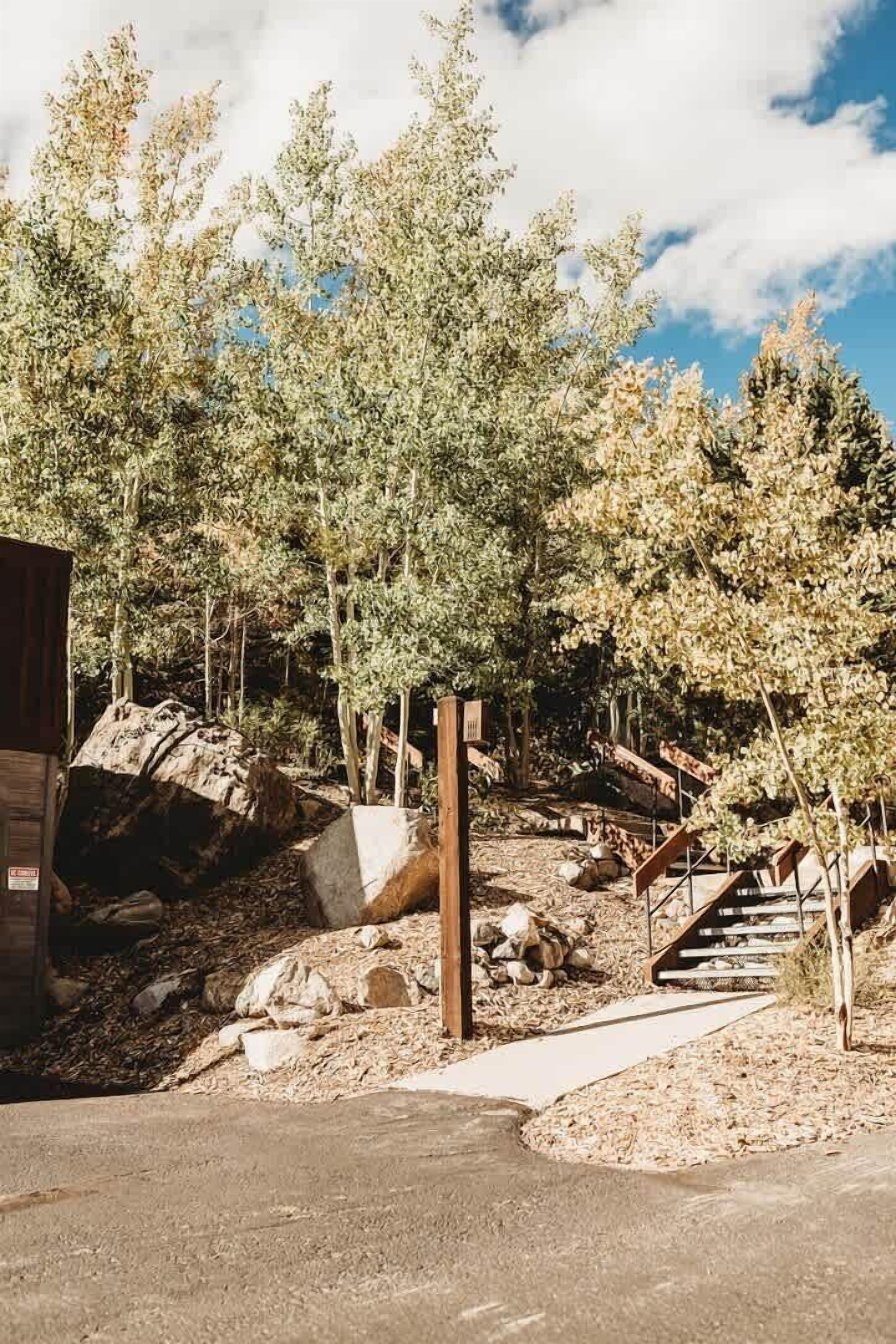 A forested area with a wooden staircase leading up to a building.