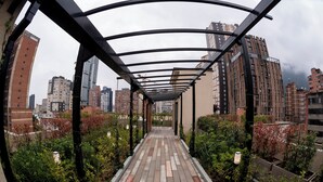 A covered walkway with a view of high-rise buildings and a garden area. - Corazón fotográfico  (Bogotá)
