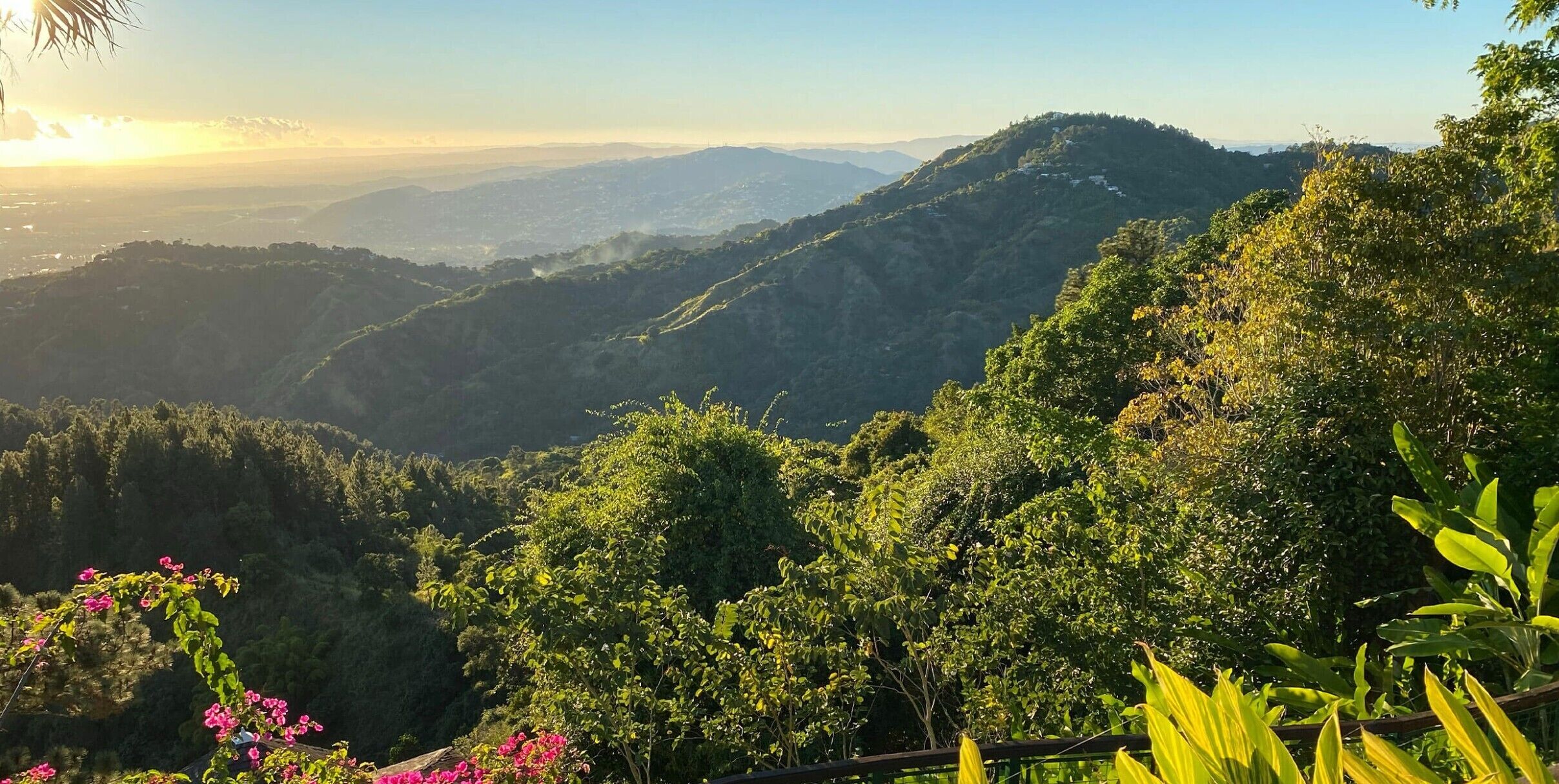 Un paisaje montañoso con vegetación densa y cielo despejado.