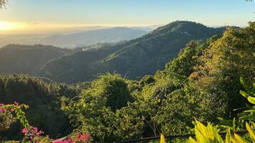 Un paisaje montañoso con vegetación densa y cielo despejado.