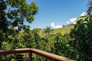 A lush green landscape with a wooden deck overlooking a hilly area. - Villa Ventosa - Pool, King-Size Beds, Solar, ACs, Superhost & Guest Favorite (Rincón)