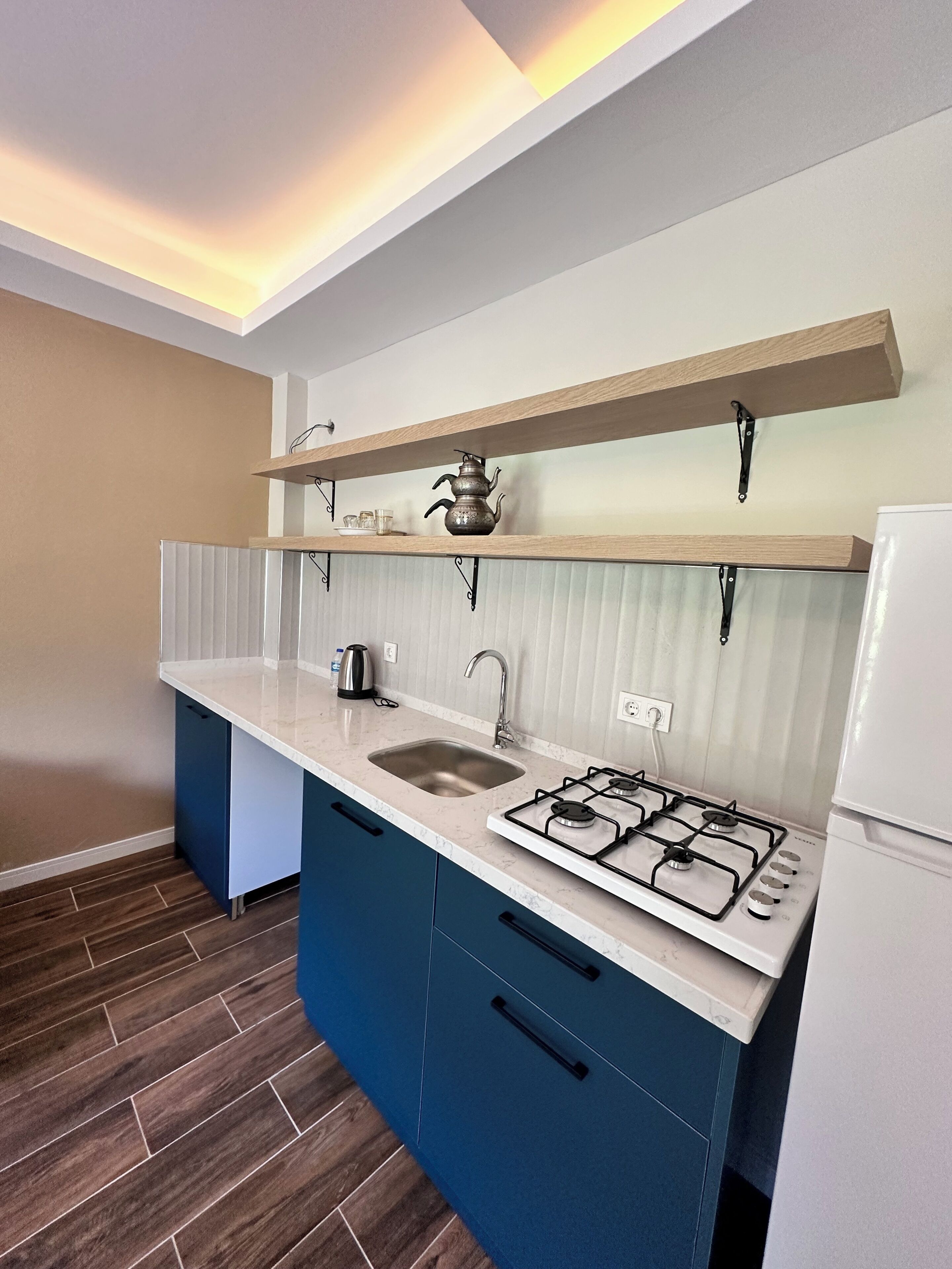 Fridge, stovetop, cookware/dishes/utensils