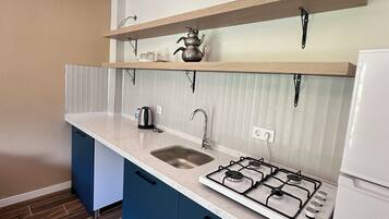Fridge, stovetop, cookware/dishes/utensils