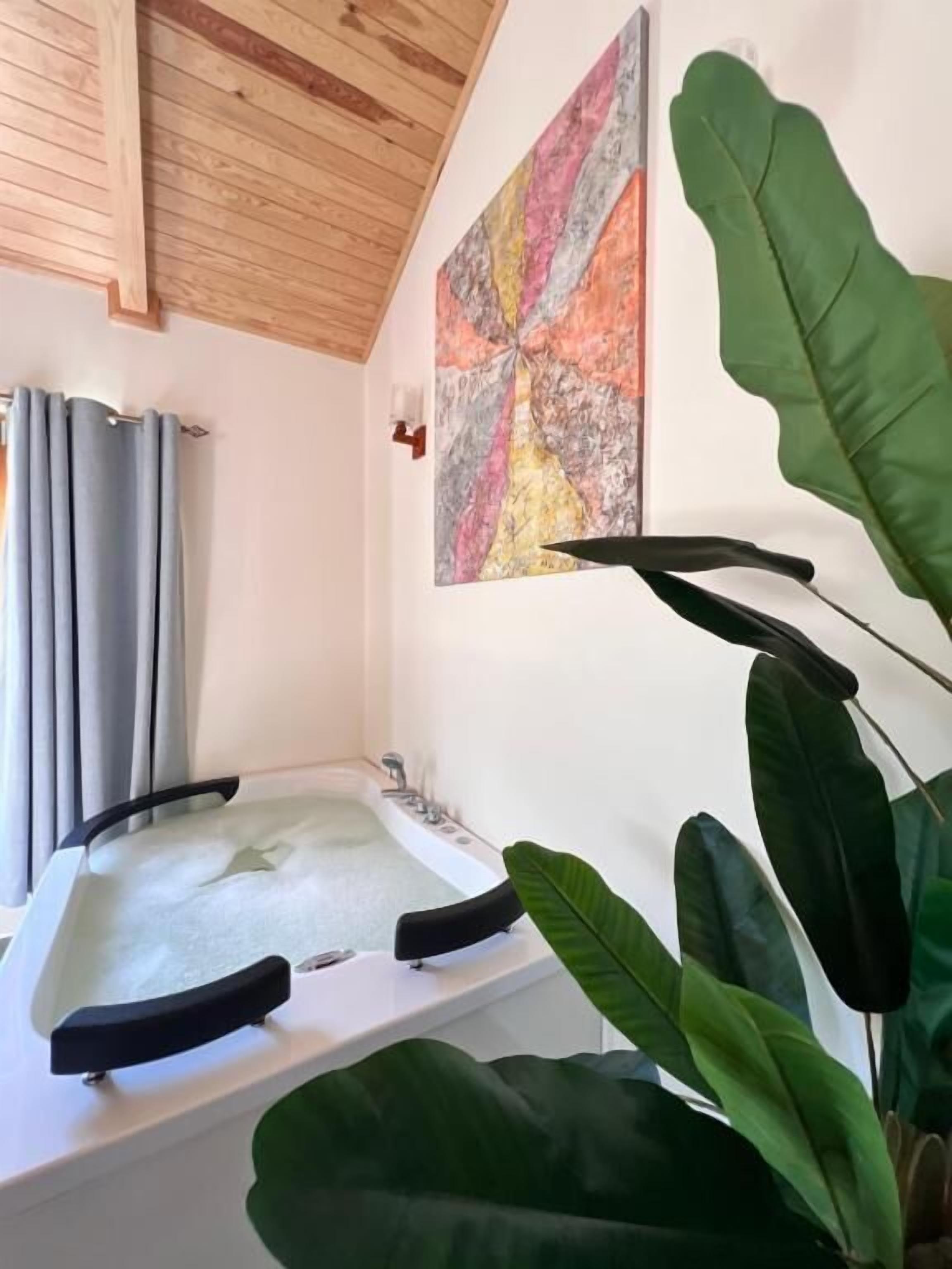 Un baño con bañera, ducha y una planta verde grande.