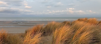 Charming cottage at the foot of the dunes.