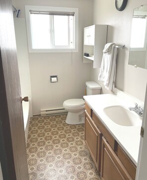 Hair dryer, towels, soap, toilet paper