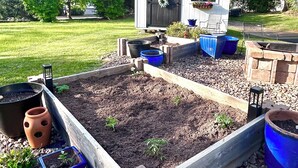 A garden with raised beds, a small shed, and potted plants. - Lakeview 1BR/1BA guest suite, pickleball, fishing, close to Asheville & BRP. (Weaverville)