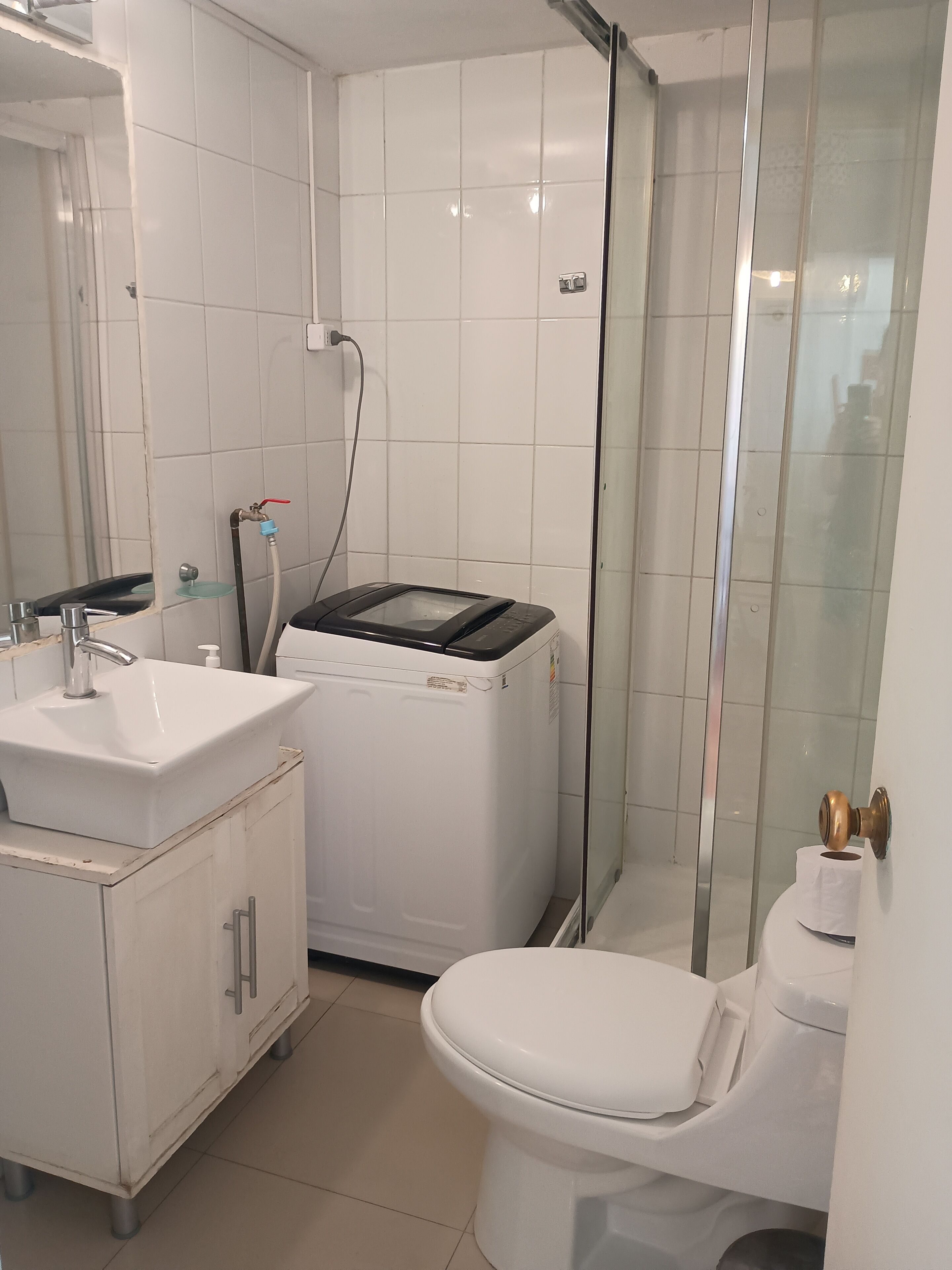 Une salle de bain équipée d’un lavabo, de toilettes et d’un lave-linge.