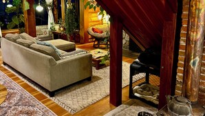 Un salon chaleureux avec un canapé, une cheminée, un tapis et un panier pour chien.