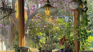 Un plafond en bois, une lampe suspendue, une table ornée de plantes en pot et une fenêtre décorée de fleurs roses.