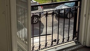 En vy genom en glasdörr med ett metallräcke, en gräsyta och parkerade bilar.